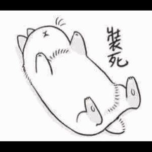 Meet your Posher, Lili